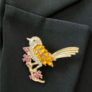 New Colorful Bird Brooche.